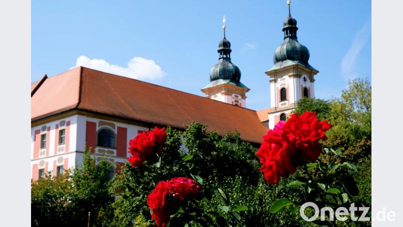 In wohl einmaliger Weise bietet am kommenden Sonntag, 9. September der Tag des offenen Denkmals „Geschichte zum Anfassen“. Im Mittelpunkt stehen in der Region die historischen Bauten der Prämonstratenser-Abtei Speinshart (unser Bild). Aber auch weitere Kulturdenkmäler in Speinshart und Oberbibrach sind zu bestaunen Bild: do