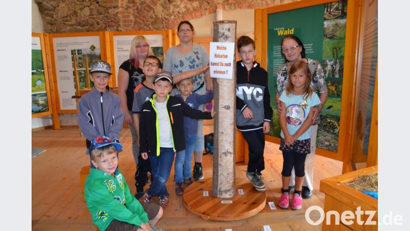 Die Kinder der Ferienbetreuung begeisterte das Naturpark- und Jagdzimmer im Schloss Burgtreswitz. Hier an diesem Baumstumpf konnten sie die Rinden der verschiedenen Bäume ertasten. Bild: gi