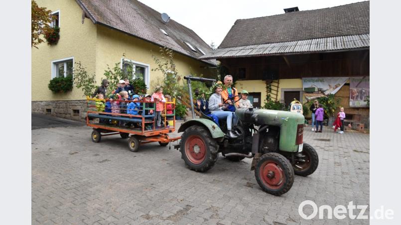 Eine Rundfahrt durch den Hof. Natürlich hat Bauer Fritz die Hand mit am Steuer. Bild: fz