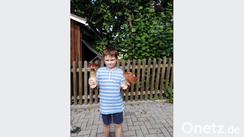 Vincent präsentiert stolz die größten Steinpilze, die sein Opa Herbert Riedl gefunden hat. Bild: ard