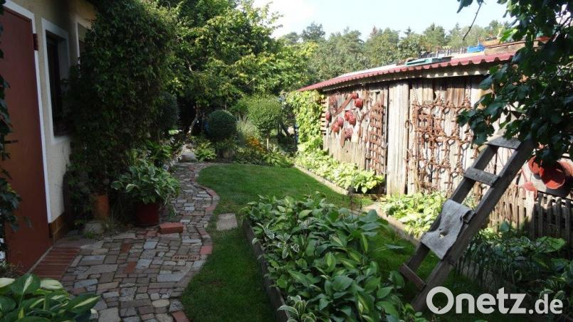 Alte Guglhupf-Formen sind bevorzugte Gartendeko. Bild: hka