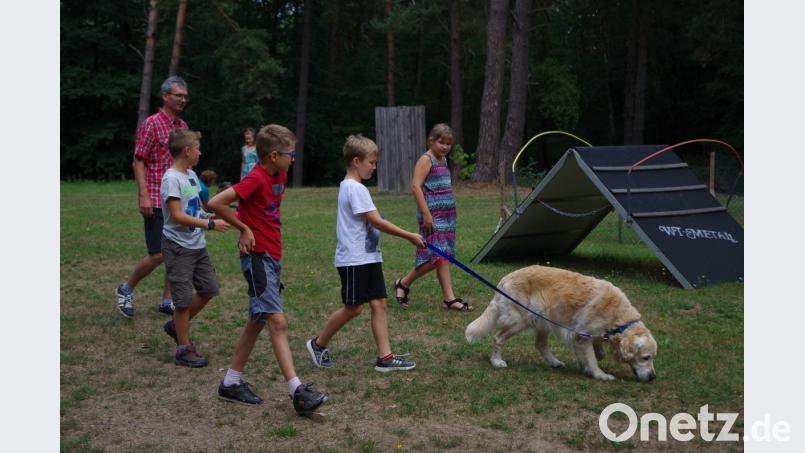 Ganz geduldig lässt sich Golden Retriever „Linus“ von den Kindern über den Platz führen. Bild: ksi