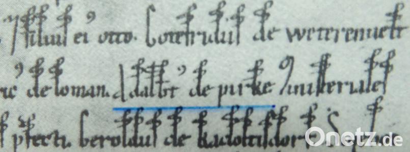 Ein Ausschnitt aus der Urkunde mit dem Namen Adalbert de Pirke. Bild: fsb