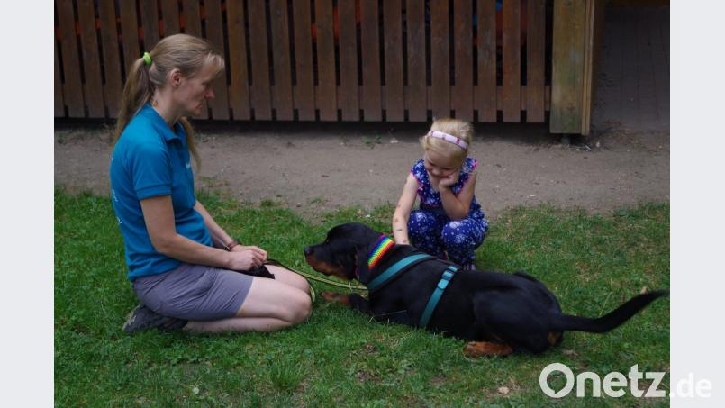Der junge Rottweiler „Bert“ genießt die Streicheleinheit während Heike Roidl Tipps gibt. Bild: ksi