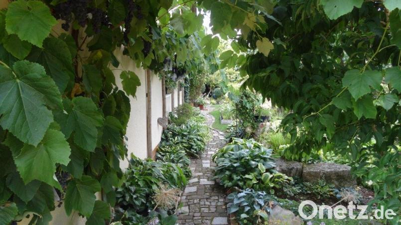 Phantasievoll gepflasterte Wege führen durch den Garten, der auch im heißen Sommer dieses Jahres noch in üppigem Grün prangt. Bild: hka