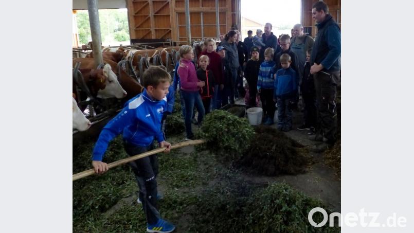 Die Kinder konnten zusammenstellen, was eine Kuh so am Tag frisst. Andreas (rechts) und Konrad Lehner (links daneben) erklärten es ganz genau. Bild: lgc