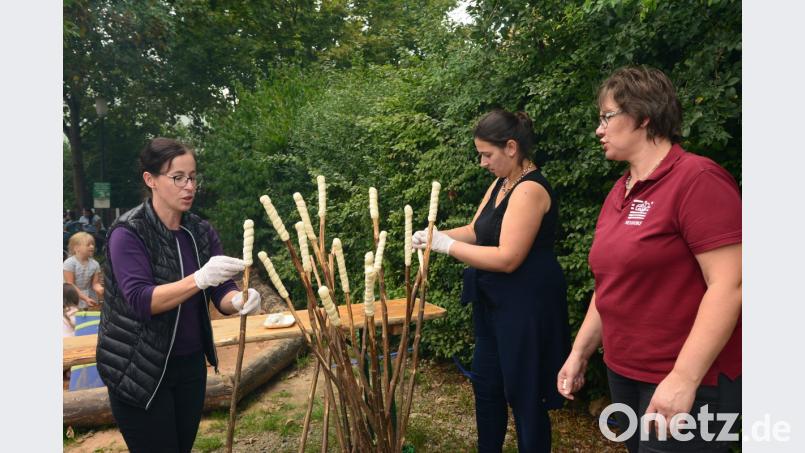Fleißige Helferinnen bereiten das Stockbrot zum Backen über dem offenen Feuer vor. Bild: bey