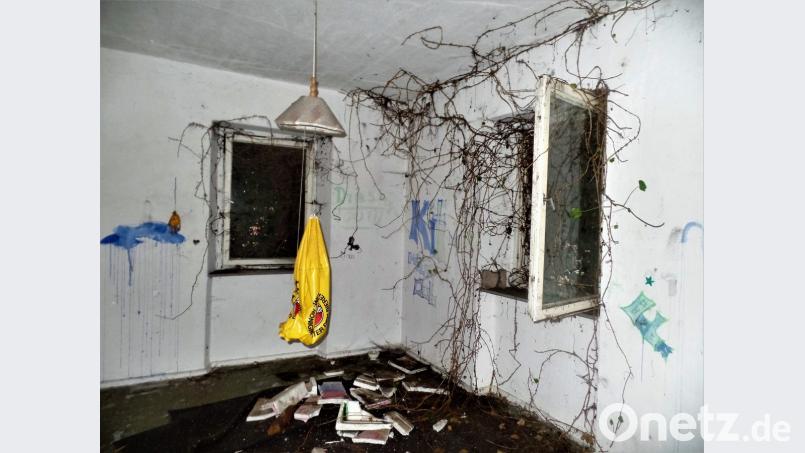 Die außen üppig wuchernde Efeupflanze hat sich auch in den Räumen ausgestreckt. Bild: jml