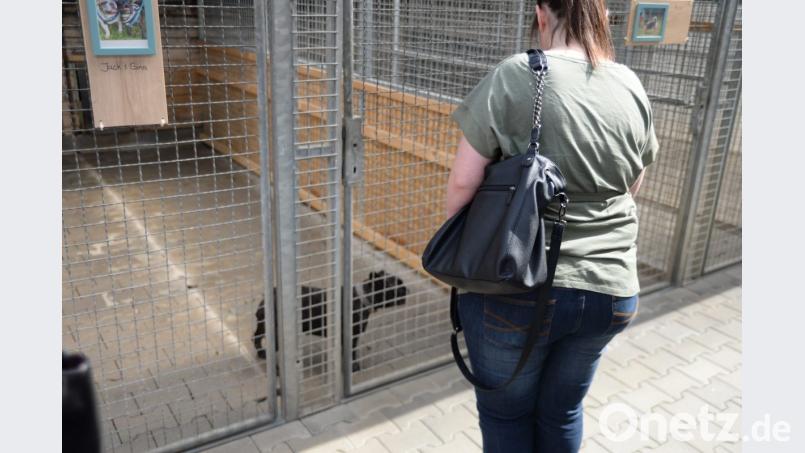 Ist das das neue Frauchen? Bild: brü