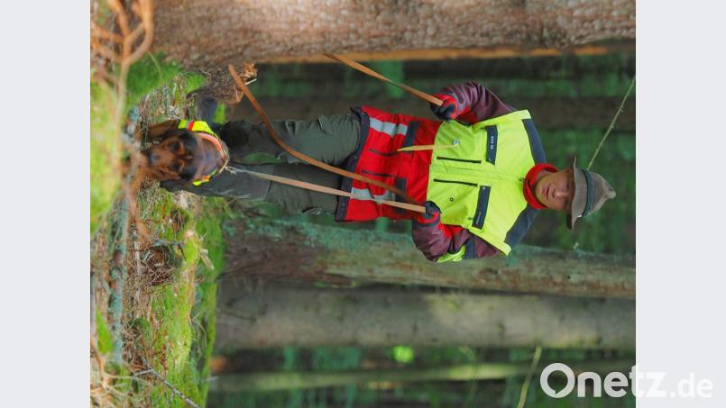 „Caramel vom Eybholz" zählt mit seinem Besitzer David Krieg zu den erfolgreichen Teilnehmern der Leistungsprüfung. Bild: fjo