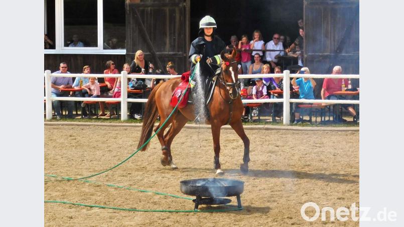 Wer braucht schon ein Löschfahrzeug, wenn er ein Pferd hat. Bild: hai