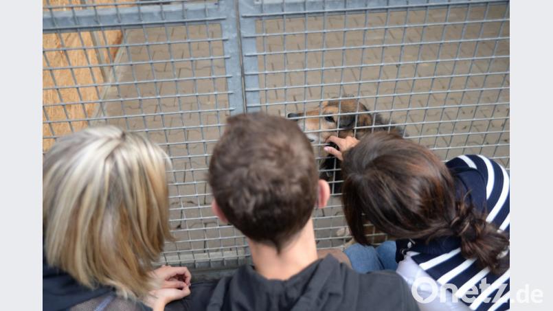 Anfassen erlaubt. Bild: brü