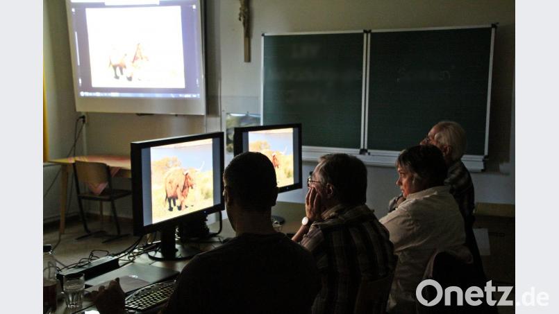 Die drei Mitglieder der Jury bei der Auswertung Bild: jma