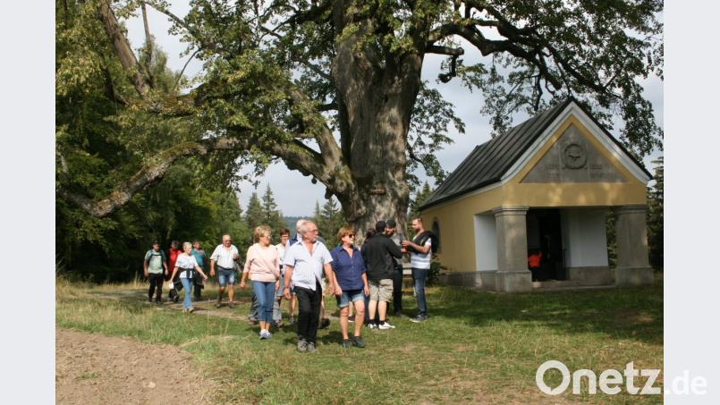 Nicht wenige Wanderer staunen über die große alte Linde am Schusterberg. Bild: roh