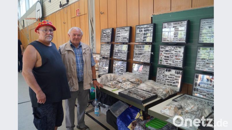 Börsensekretär Manfred Ströhle und Vorsitzender Peter Huber (von links) vom Entomologischen Arbeitskreis Ostbayern freuen sich bei der größten Insektenschau Süddeutschlands über 50 Aussteller aus 8 Nationen. Bild: du