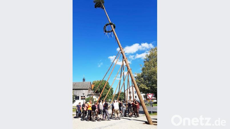 Den 25 Meter hohen Baum hieven die Burschen an der Neuzirkendorfer Kirwa in die Höhe. Bild: ü