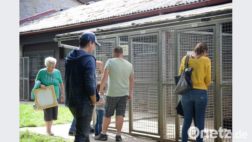 Der Tag der offenen Tür eignet sich für einen Familienausflug. Bild: brü