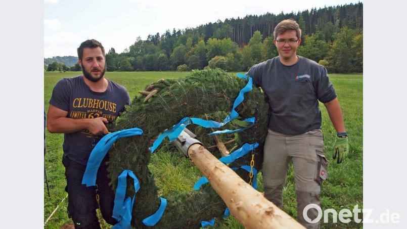 Mit Baggerunterstützung stellen am Samstagnachmittag die Riedener Feuerwehrler den Kirwabaum auf. Tobias Haas und Andreas Fischer (von links) fädeln die Kränze ein. Bild: sön