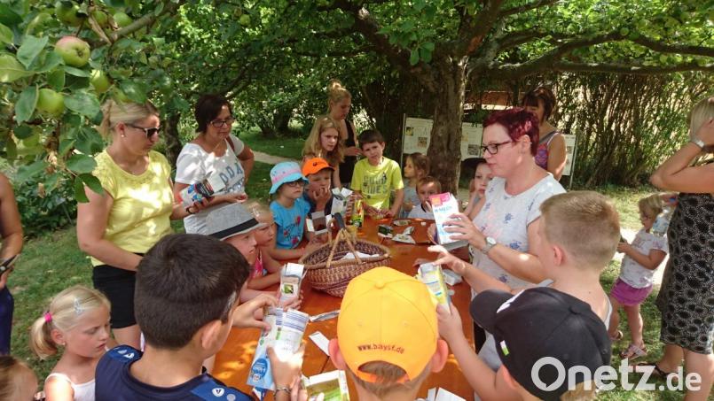 Das gefällt auch den Olchis. Im Ferienprogramm der Marktbücherei basteln die Kinder aus leeren Getränkekartons schicke Geldbeutel. Bild: michaela.lowak@oberpfalzmedien.de