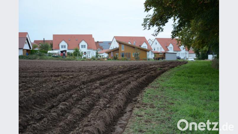 Der Gemeinderat bewilligt eine Einbeziehungssatzung Speichersdorf-Kirchsteig und ermöglicht so auf einer landwirtschaftlichen Fläche den Bau eines Einfamilienhauses mit Doppelgarage. Bild: ak
