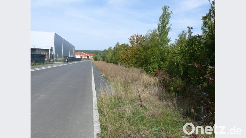 Auf der früheren Bahntrasse (rechts hinter dem Bewuchs) soll später den Plänen zufolge die neue Bundesstraße 299 verlaufen - und parallel zur Straße &quot;Zur ehemaligen Porzellanfabrik&quot; zwischen den Gewerbebauten an die bestehende Mitterteicher Straße anschließen. Bild: kgg