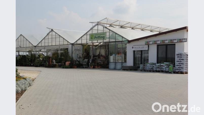 Gärtnerei Prifling Bild: ral