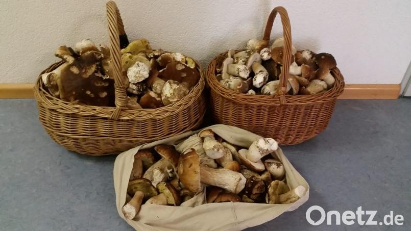 Die Beamten entdeckten im Auto 19 Kilogramm Steinpilze. Bild: Polizeipräsidium Freiburg