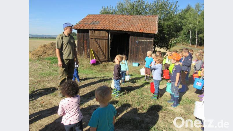 Die Kinder des Kinderhauses St. Marien betätigten sich als fleißige Erntehelfer Bild: den