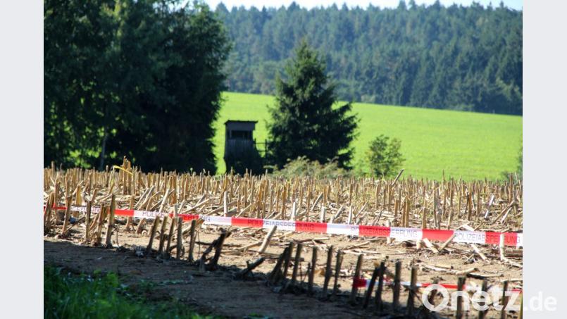 Bei Nittenau suchen Polizisten erneut das Feld ab, auf dem eine Jagd stattfand. Ein Verkehrsteilnehmer auf der B16 ist wahrscheinlich durch einen Schuss aus einem Jagdgewehr getötet worden. Bild: Alexander Auer