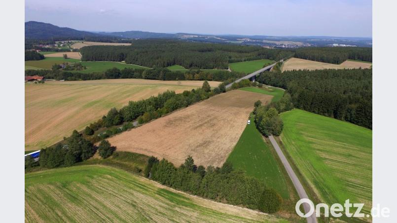 Bei Nittenau suchen Polizisten erneut das Feld ab, auf dem eine Jagd stattfand. Ein Verkehrsteilnehmer auf der B16 ist wahrscheinlich durch einen Schuss aus einem Jagdgewehr getötet worden. Bild: Alexander Auer