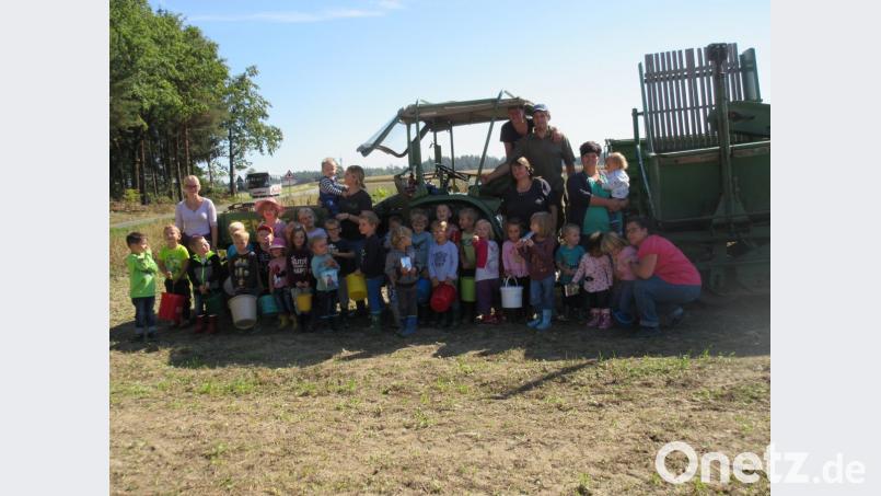 Die Kinder des Kinderhauses St. Marien betätigten sich als fleißige Erntehelfer Bild: den