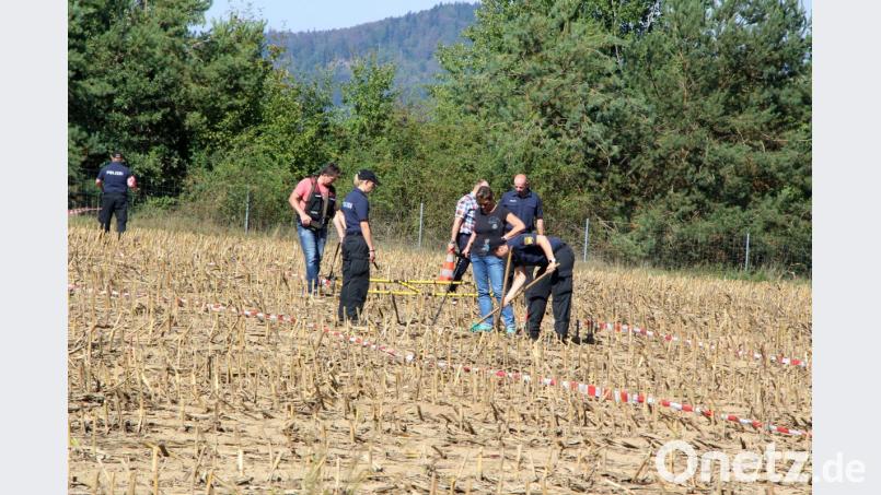 Bei Nittenau suchen Polizisten erneut das Feld ab, auf dem eine Jagd stattfand. Ein Verkehrsteilnehmer auf der B16 ist wahrscheinlich durch einen Schuss aus einem Jagdgewehr getötet worden. Bild: Alexander Auer