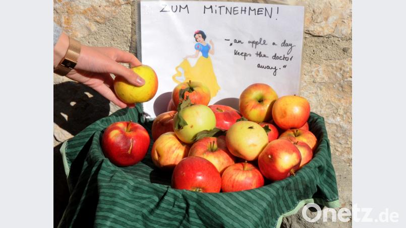Kein Hexenwerk: Kostenlose Äpfel in der Fronfestgasse in Amberg. Bild: Stephan Huber
