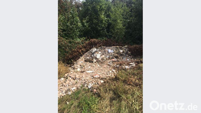 Bauschutt hat ein Unbekannter bei Hofteich einfach in der Natur entsorgt. Bild: jr