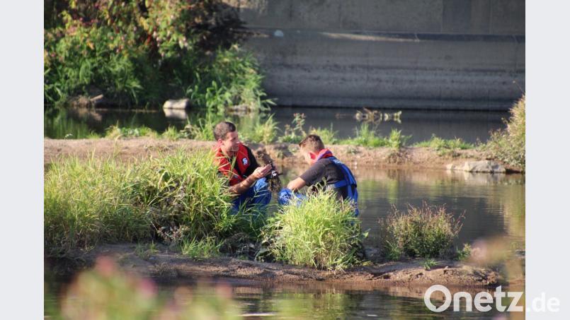 Zwei Mitarbeiter des Sprengkommandos inspizieren die Granaten. Bild: Alexander Auer
