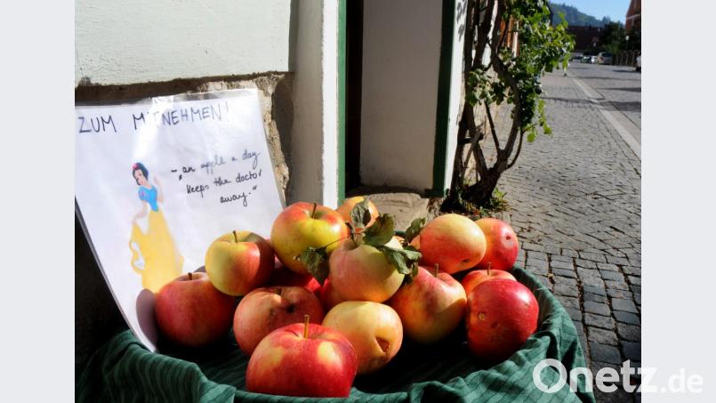 Verlockend: Sie glänzen in der Sonne und bringen so einige Passanten in Versuchung. In der Fronfestgasse liegen Äpfel bereit, an denen sich jeder, der vorbeikommt, bedienen darf. Bild: Stephan Huber