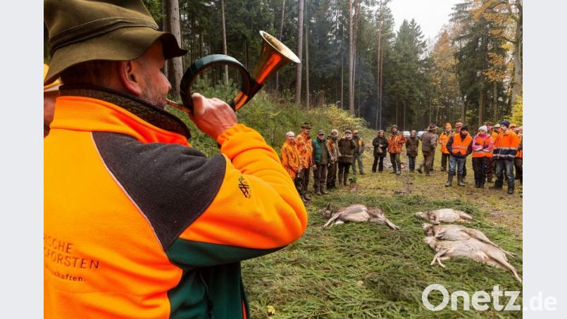 Ist das Wild nach einer Treibjagd erlegt, ist es zur Strecke gebracht worden. Bild: exb