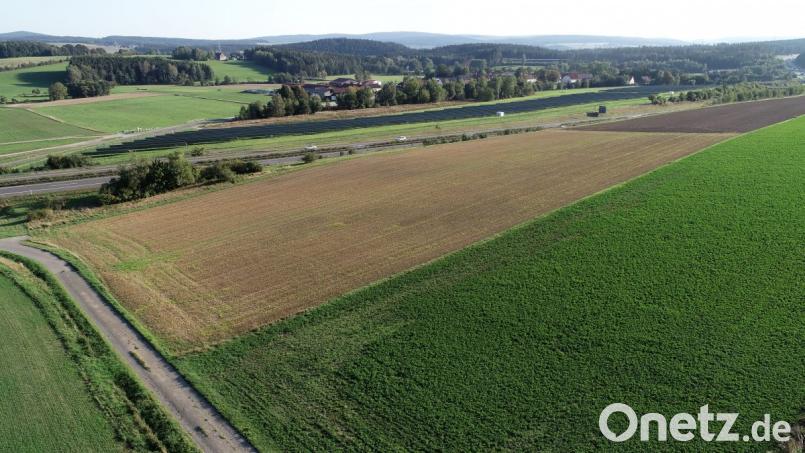 Auf dem Acker zwischen der Grünfläche im Vordergrund und Hecke bei der Autobahn (im Hintergrund) soll die Photovolktaikanlage errichtet werden. Auf der anderen Seite der Autobahn ist als dunkler Streifen die bisher bestehende Photovoltaikanlage zu erkennen. Bild: bey
