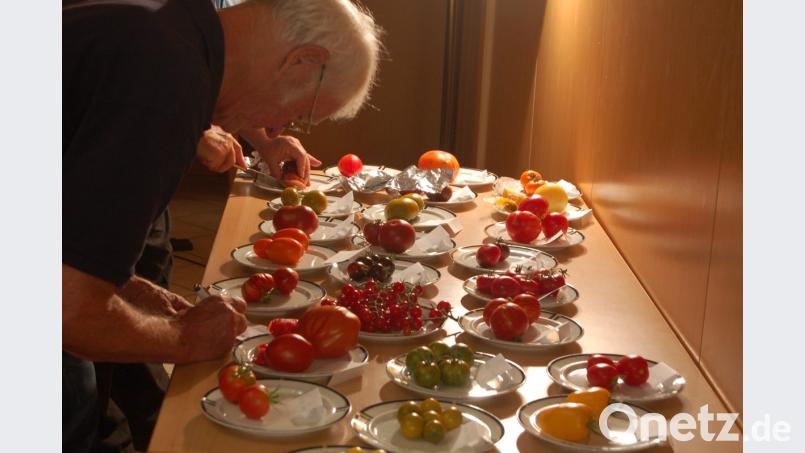 Eine etwas andere Ausstellung präsentiert die Tomaten-Viefalt. Bild: B. Ströll