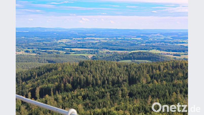 Nach dem Besteigen des Bergfrieds reicht der Blick weit in den Oberpfälzer Wald. Bild: bsc