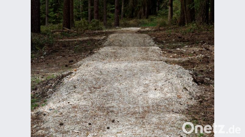 Hier entsteht der Familien-Mountainbike-Parcours. Bild: tr