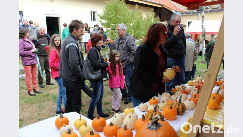 Ein vielseitiges Angebot rund um den Herbst und natürlich Kürbisse in allen Formen sind am Sonntag im Seebarner Heimatmuseum zu entdecken. Bild: pko