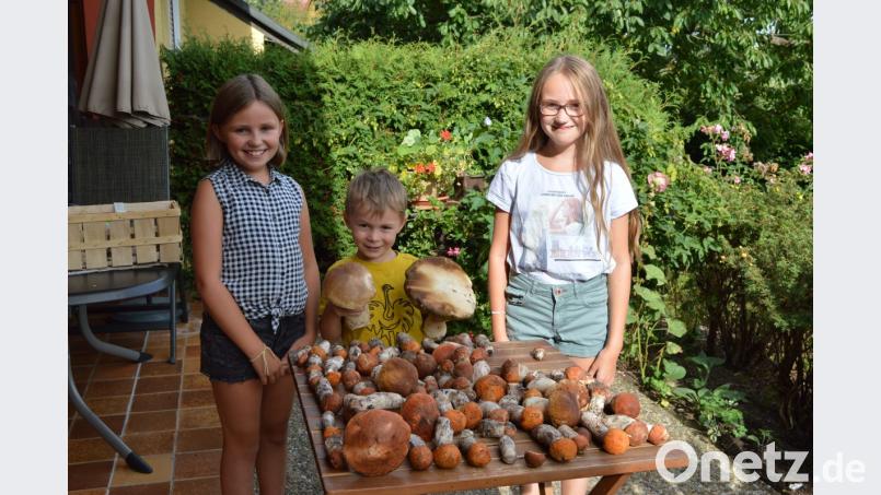 Luca und seine Schwestern Marie und Sophie freuen sich über die reiche Schwammerlernte. Bild: bej