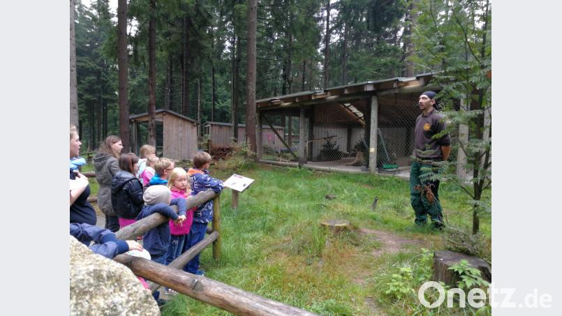 Besuch im Wildpark. Bild: fpoz