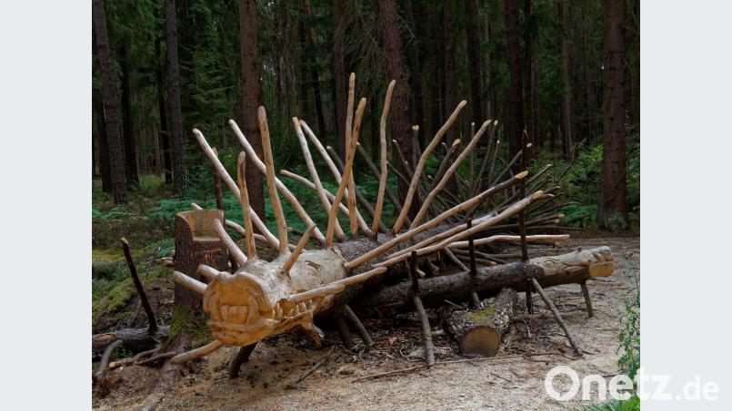 Ein Stacheldrache am Wegesrand. Bild: tr
