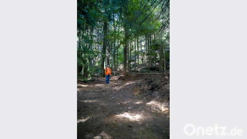 Winfried Pfahler, Leiter des Forstbetriebs Fichtelberg, besichtigt die Borkenkäferschäden am Ochsenkopf. Bild: exb