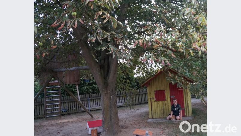 Unter dem riesigen Kastanienbaum, der ebenso wie die Rasenfläche Probleme mit dem Wassermangel hat, ist das Spielparadies von Sohn Max. Bild: weu