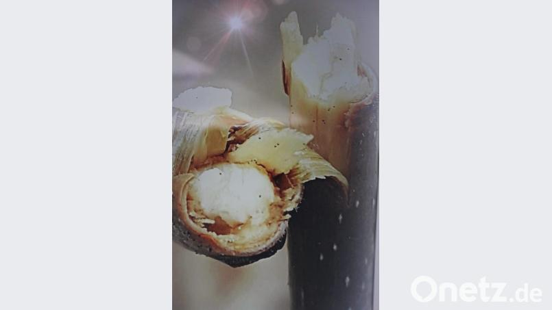 Diese Fotografie trägt den Titel "Nach dem Sturm"" Bild: kro