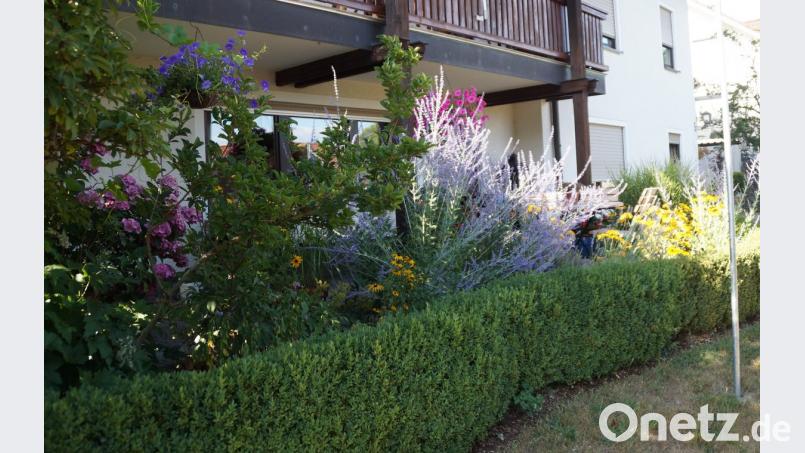 Ein Blütenmeer zur Gestaltung des Terrassenbereiches. Bild: weu