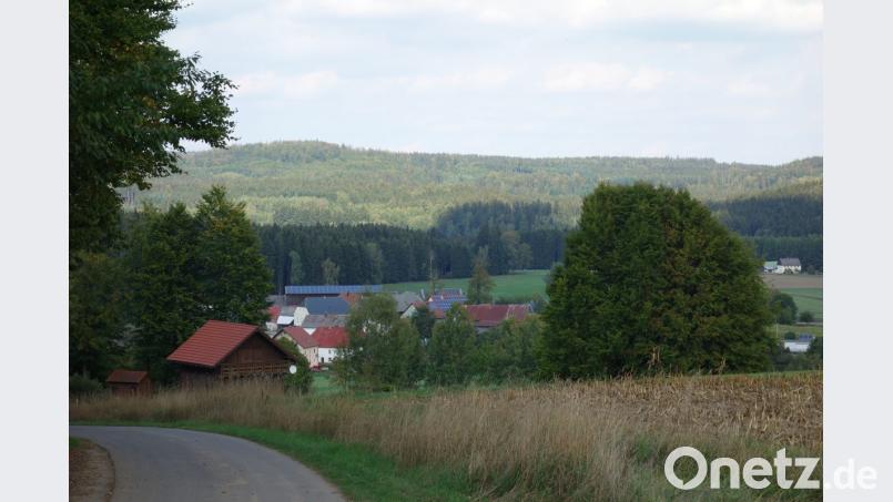 Idyllisch in ein großes Waldmeer eingebettet liegt der Waidhauser Ortsteil Reichenau direkt an der Grenze zu Böhmen, der fast 100 Jahre lang einem besonderen Erwerbszweig Heimat gab. Bild: fjo